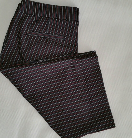 🔴 Manhattan Chino short - Picture 6 of 8